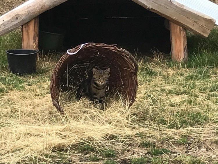 Privat Migac Daire Vrbov Dış mekan fotoğraf